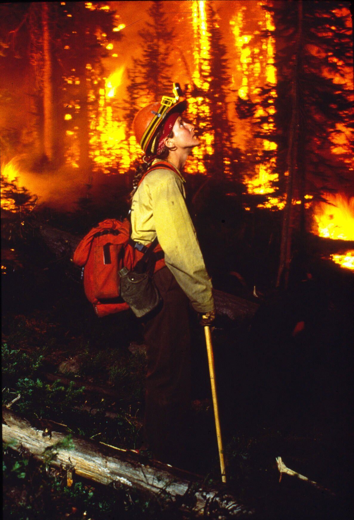 Yellowstone fire 1988